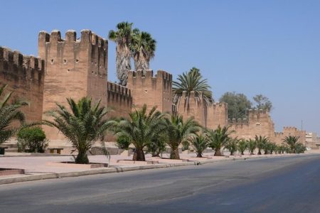 Visit Taroudant and Tiout Oasis