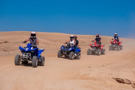 Full-Day Quad Ride Excursion