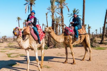 Camel Ride Excursion