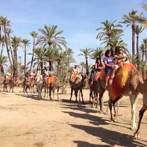 agadir camel ride
