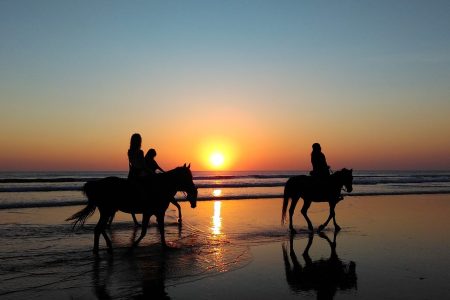Horseback Riding Excursion Agadir