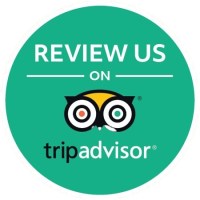 review-us-removebg-preview
